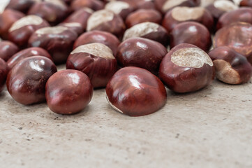 Placer chestnuts on a ceramic floor.