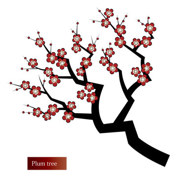 梅の木 Images Browse 8 612 Stock Photos Vectors And Video Adobe Stock