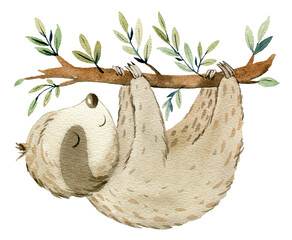 Watercolor Cartoon Sloth. © Tapilipa