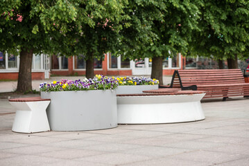 An empty city square with a bench and flower beds