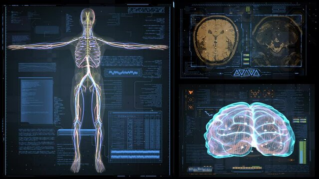 Biometric Scan of Human Body. Medical Diagnostics Dynamically Reveal of Digital Data and Infographics. 3D Analyse of Brain and Body Condition. Colorful Motion Graphics. Medical Research Concept. 