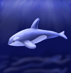 Friendly Killer Whale in sea or ocean. Underwater animal hand drawn painting