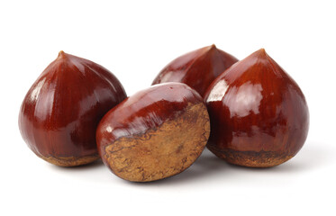 Obraz premium Chestnut on the white background