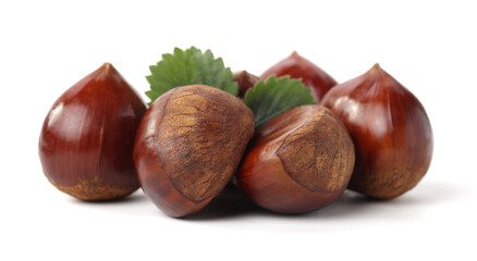 Chestnut on the white background