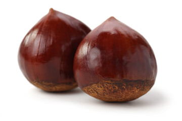 Chestnut on the white background