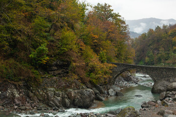Fototapeta na wymiar Autumn Season in the Black Sea Mountains, Borcka Artvin, Turkey