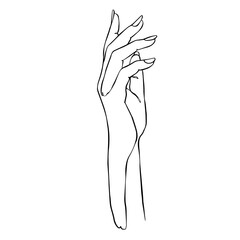 Hand line art illustration