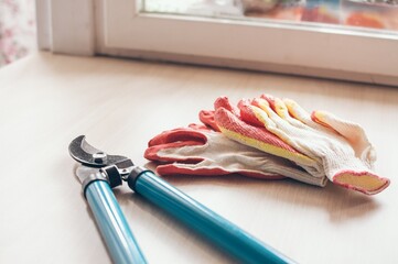 Working tools: gardening gloves and pruning shears for pruning