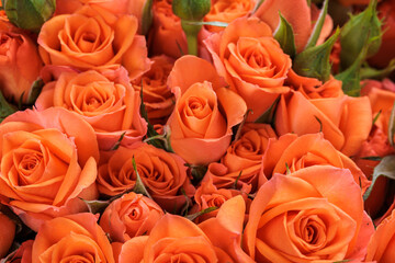 Bunch of fresh orange roses floral background - Powered by Adobe