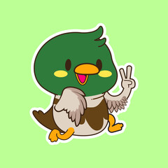 cute little mallard duck vector illustration