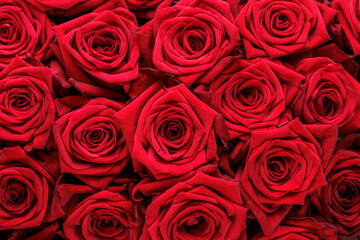 Bunch of fresh red roses floral background