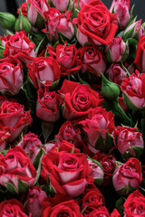 Bunch of fresh red roses floral background