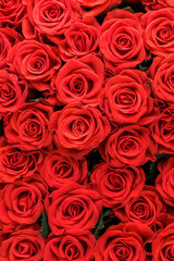 Bunch of fresh red roses floral background