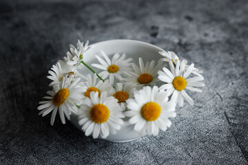 Chamomile in a vase. Beautiful flowers on a concrete table