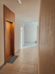 Hall of a modern flat apartment house. Entrance hall in a contemporary apartment, corridor, flat.