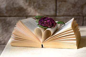 Book with beautiful dried flower on light table