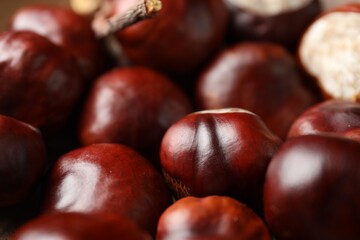 Pile of horse chestnuts as background, closeup