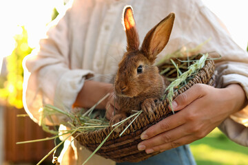 Woman with cute rabbit outdoors on sunny day, closeup