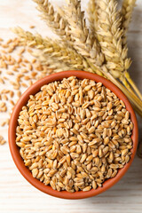 Wheat grains in bowl and spikes on white wooden table, top view