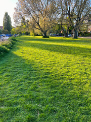 Picturesque view of green park on sunny morning