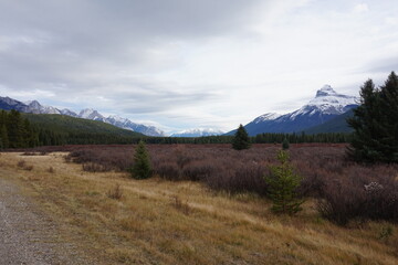 Yoho national park 