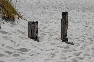 Weathered wooden poles in the sand