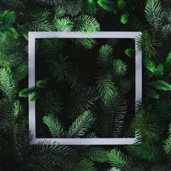 Christmas tree branches with frame. Minimal flat lay. Nature New Year concept.
