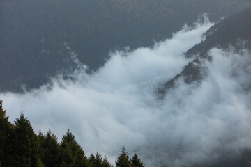 Foggy Sunrise in the Uzungol Lake, Caykara Trabzon, Turkey