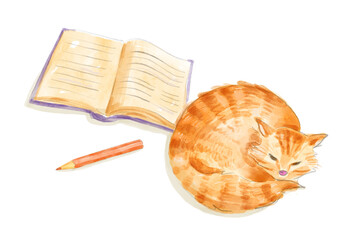 Watercolor composition of cat and book. Hand-drawn illustration isolated on the white background