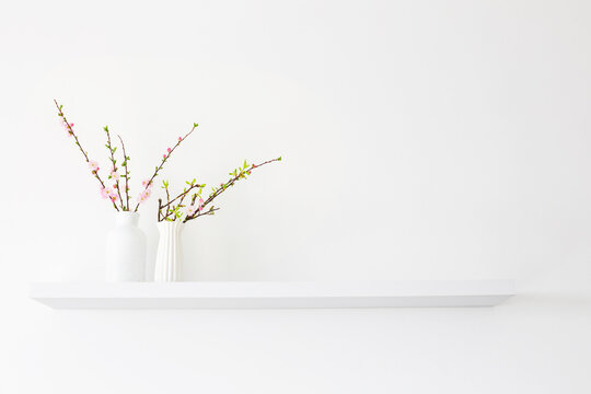 branches of spring flowers  in  white vases on  white background