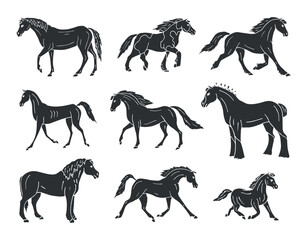 Vector set of hand drawn doodle sketch black horse breeds isolated on white background