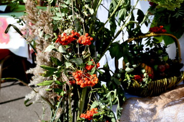 A close up on red small round fruits attached to stalks of dry flowers and shrubs and presented during a local folklore fair or festival on a Polish countryside in summer