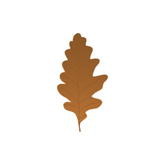 Brown oak leaf