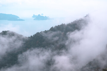 Mountains and hills covered with tropical plants