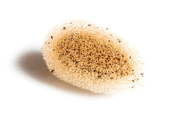 Leech cocoons and baby leeches on leech farm or laboratory. Hirudo therapy background