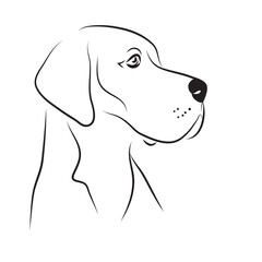 vector great dane portrait strong brave breed pedigree big dog silhouette contour outline logo tatoo