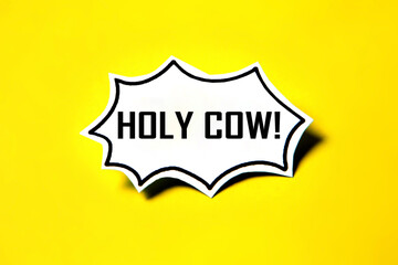 Holy cow speech bubble on white paper isolated on yellow paper background with drop shadow.