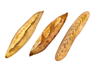 Three freshly baked different baguettes. Watercolor illustration. Clip art. For website design, menus, stickers, cards, etc.