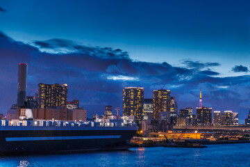Fototapeta premium 東京の湾岸エリアの夜景