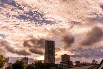 Fototapeta premium 夕暮れの太陽に照らされた雲と都会のビル