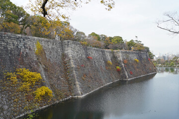 大阪城石垣の秋