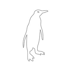 vector animal pinguin ilustration design