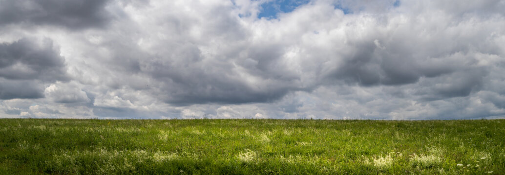 landscape with green grass field, cloudy sky