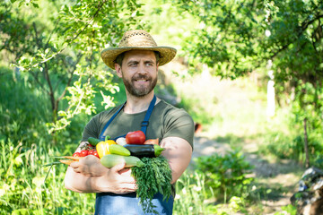 agronomist in straw hat hold fresh ripe vegetables