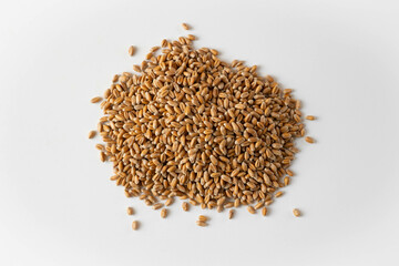 Wheat isolated on white background.