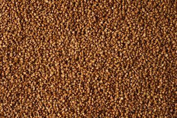 Buckwheat von. Buckwheat Texture close -up.