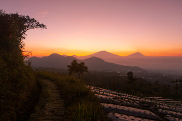 Naklejka na ściany i meble Sunrise view on vegetable plantation landscape at slope of mountain. Mount Sumbing, Indonesia.