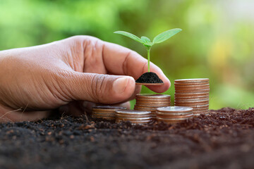Hand holding money and trees growing on money investment financial growth concept. Planting a tree on a pile of money, including hand woman holding a coin to a tree on the coin, money saving concept.