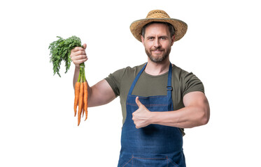man in apron and hat with carrot vegetable isolated on white. thumb up