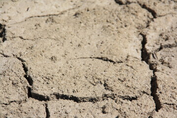 Suelo de pantano roto y agrietado por la sequía